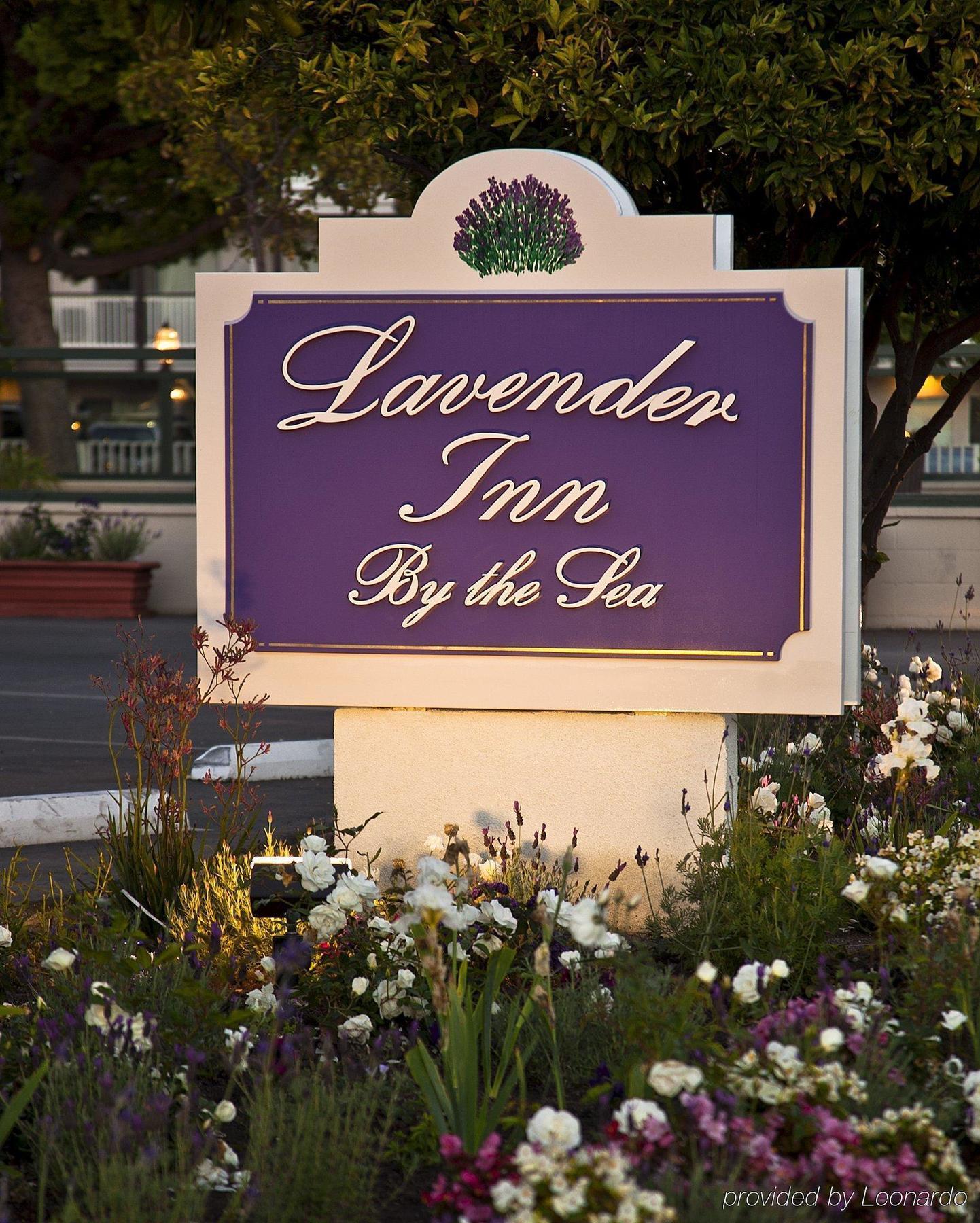 Lavender Inn By The Sea Santa Barbara Ngoại thất bức ảnh